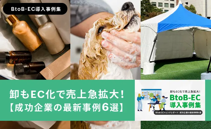 成功企業のEC導入事例を紹介