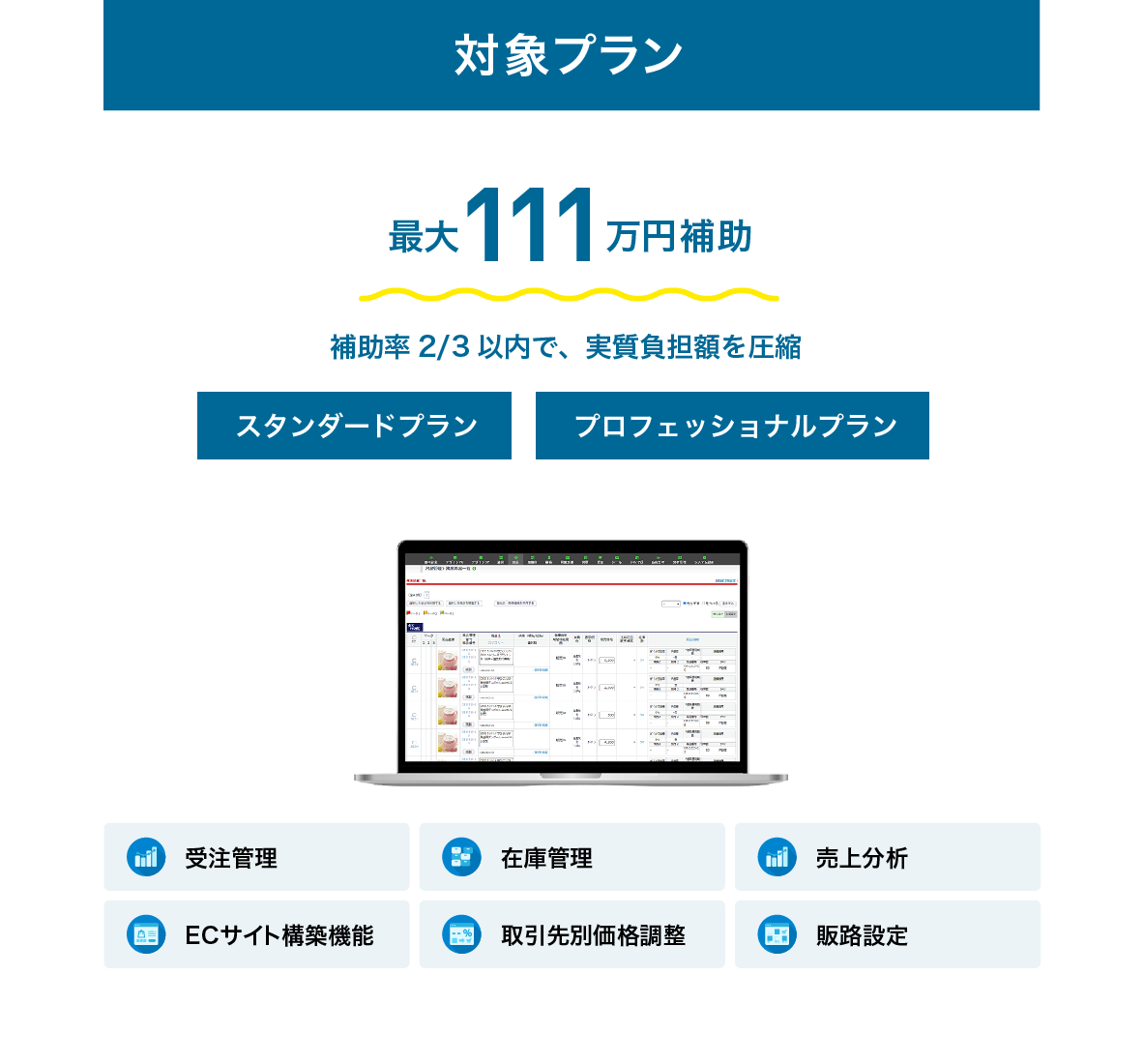 対象プラン：最大111万円補助